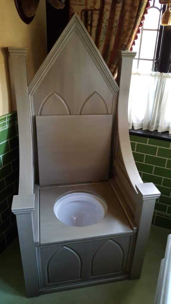 A throne toilet with seat up!
